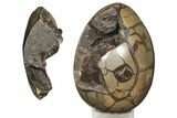 Polished Septarian Dragon Egg Geode - Black Crystals #191428-2